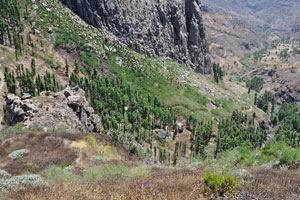 The valley which surrounds Roque de Agando
