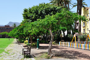The benches are installed around the perimeter of Torre del Conde park