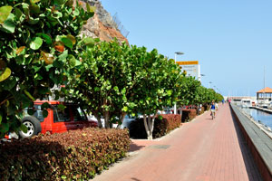 Here is Paseo Fred Olsen street in San Sebastián de La Gomera town