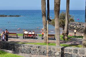 The seaview benches are placed under the shade of palm trees