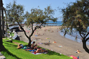 Even a small tree on Playa de Troya beach gives a big shadow for sunbathers