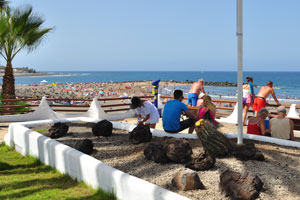 The flower beds around Playa de Troya beach are planted with huge blooming cacti
