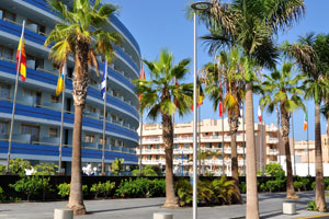 Tall palm trees grow beside the Mediterranean Palace hotel