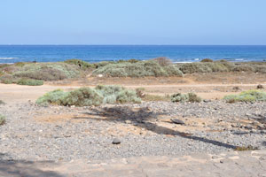 The beach is covered with low shrubs in the area of Calle Arenas Blancas street