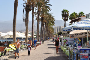 Calle Francisco Andrade Fumero street is a palm lined promenade that stretches along Playa de las Américas beach