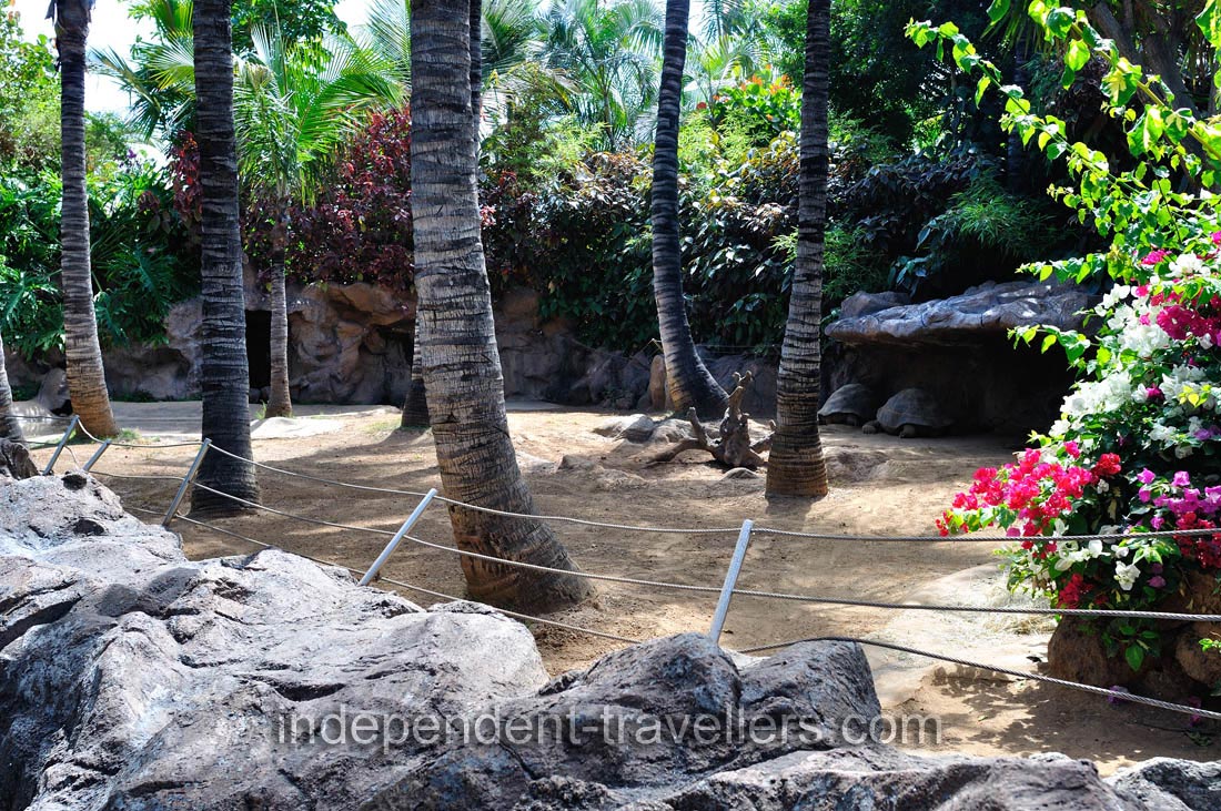 This enclosure belongs to the Galápagos tortoises