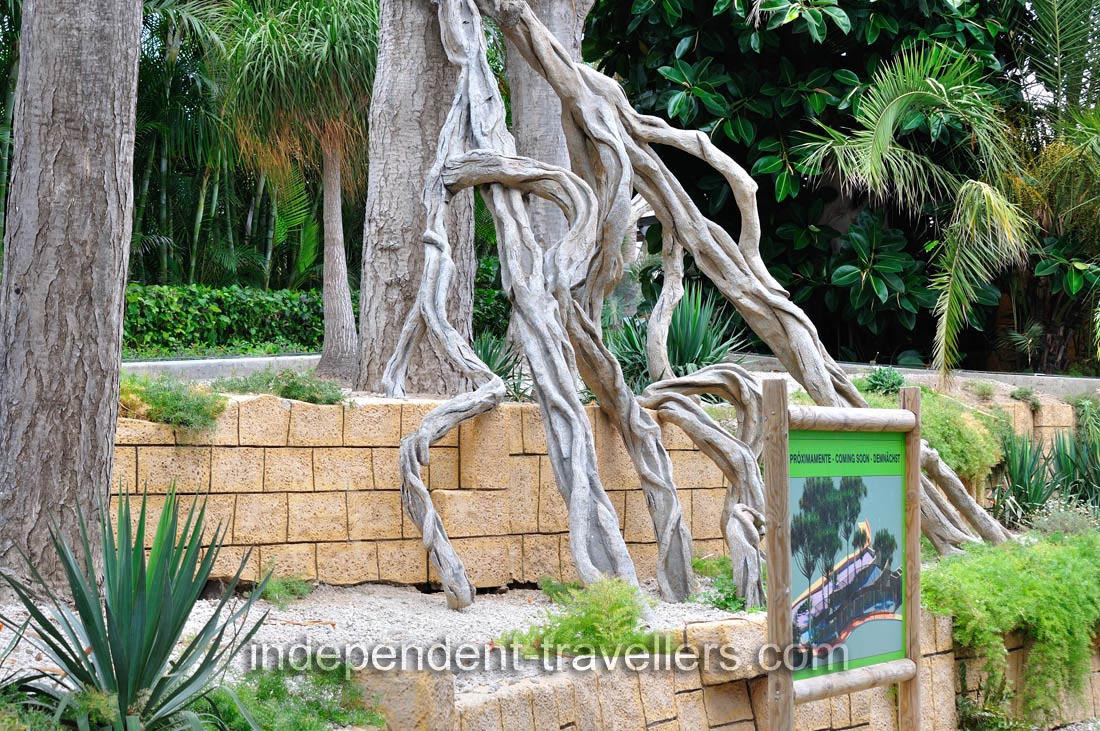 Grandiose roots of the tree