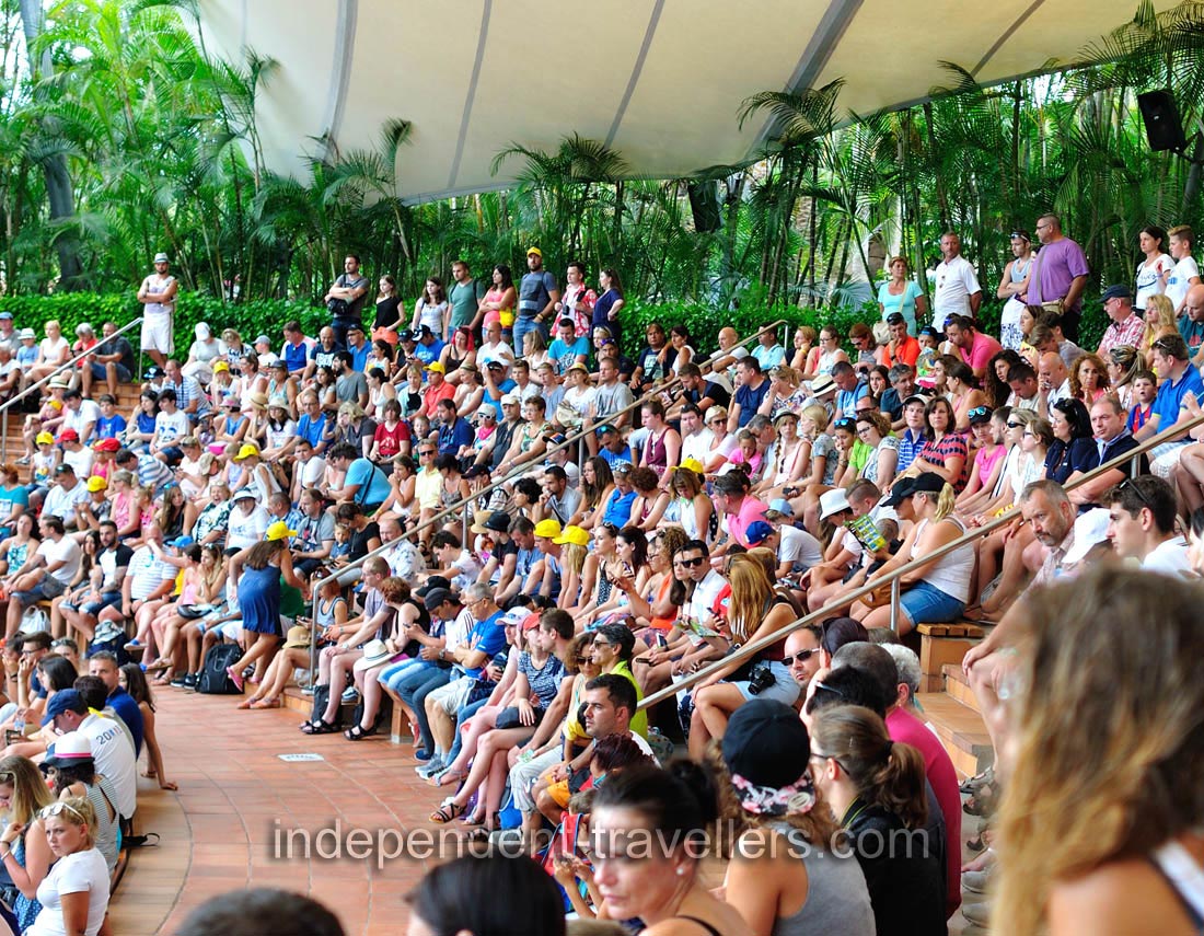 This amphitheatre belongs to the sea lions show