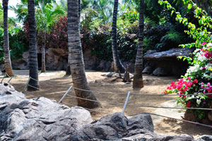 This enclosure belongs to the Galápagos tortoises