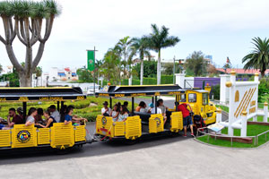 “Gratis Express” is a little road train that takes tourists from Loro Park to the center of Puerto de la Cruz