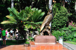 A huge parrot statue is placed near the Loro Parque ticket offices
