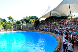 The Europe's largest dolphin show pool