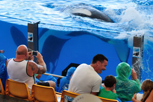 The spectators enjoying water splashing on them in the orca show