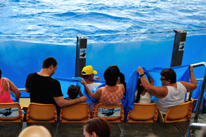 First rows of spectators are fully got wet in the orca show