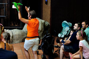 A female presenter performs with the rainbow lorikeet parrots