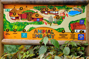 Animal Embassy map
