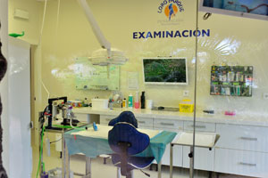 There is the Examination section in the laboratory