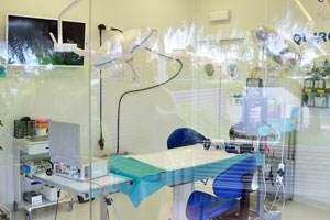 There is the operating room “Quirófano” in the laboratory