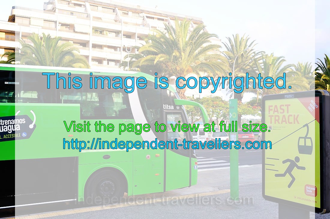 A bus number 343 has arrived to Los Cristianos bus station