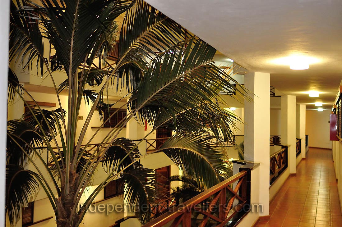 A palm tree grows inside the &ldquo;San Marino Holidays&rdquo; apartment complex