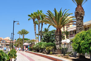 At the back of Playa de Las Vistas beach there is the promenade which has numerous bars, cafes and restaurants