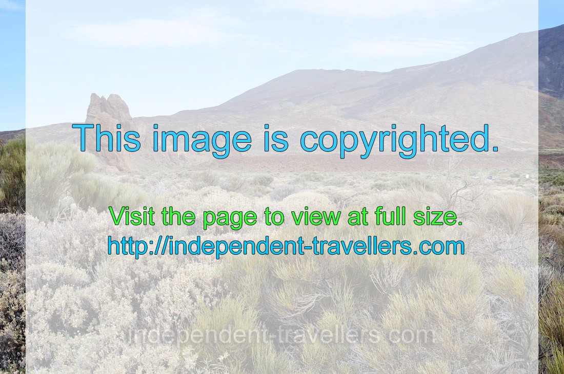 This natural landscape surrounds Mount Teide