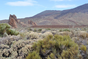 This natural landscape surrounds Mount Teide