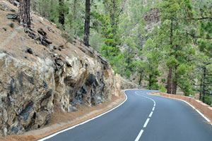 This is a travelling by bus in the mountains of Tenerife along TF-21 road