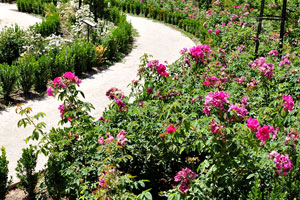 La Rosaleda “rose-garden” park