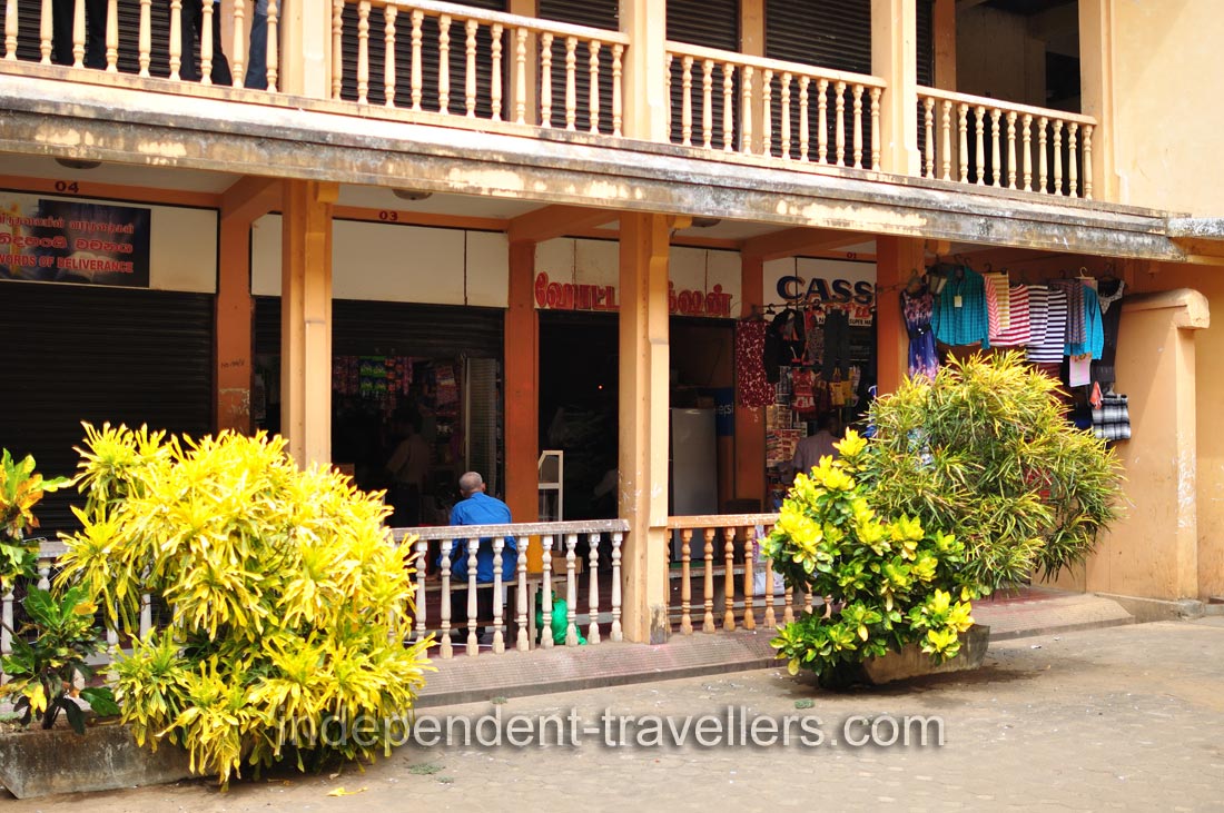 These shrubs with variegated leaves decorate the inner court of the market complex