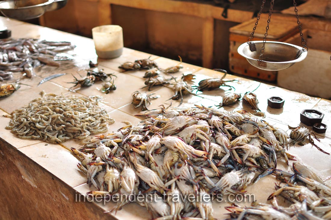 Fresh crabs