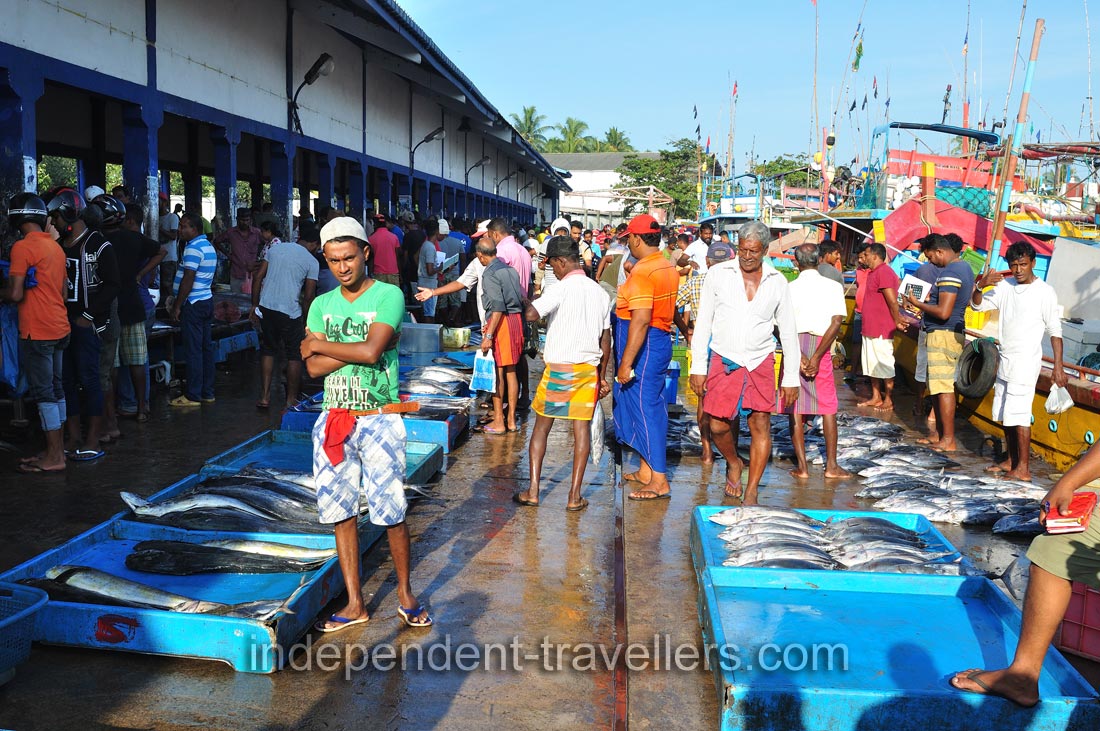 Shopping rows of the fishing harbour