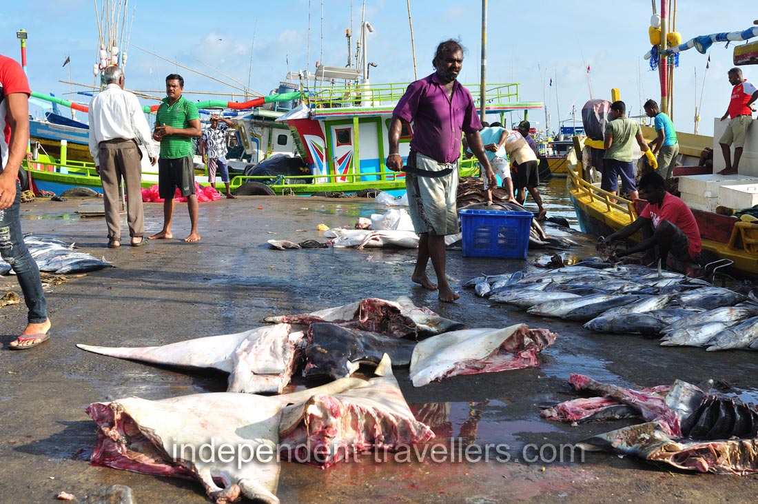 A male fish vendor took a sharp knife