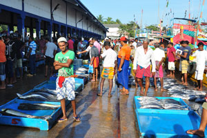 Shopping rows of the fishing harbour