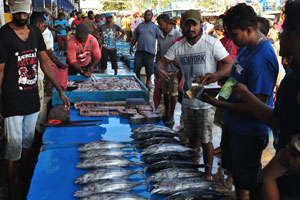Long stalls with tuna fish are in the fishing harbour