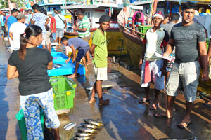 Smiling fish vendors are in the fishing harbour