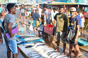 Male fish vendors are smiling