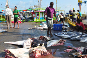 A male fish vendor took a sharp knife