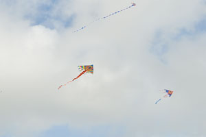 Flying kites are in the air