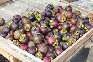 Purple mangosteens are for sale in Colombo 05