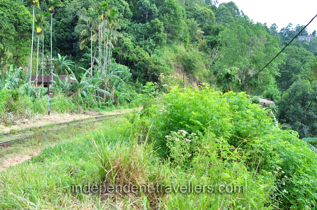 It was very pleasant to see the railway track
