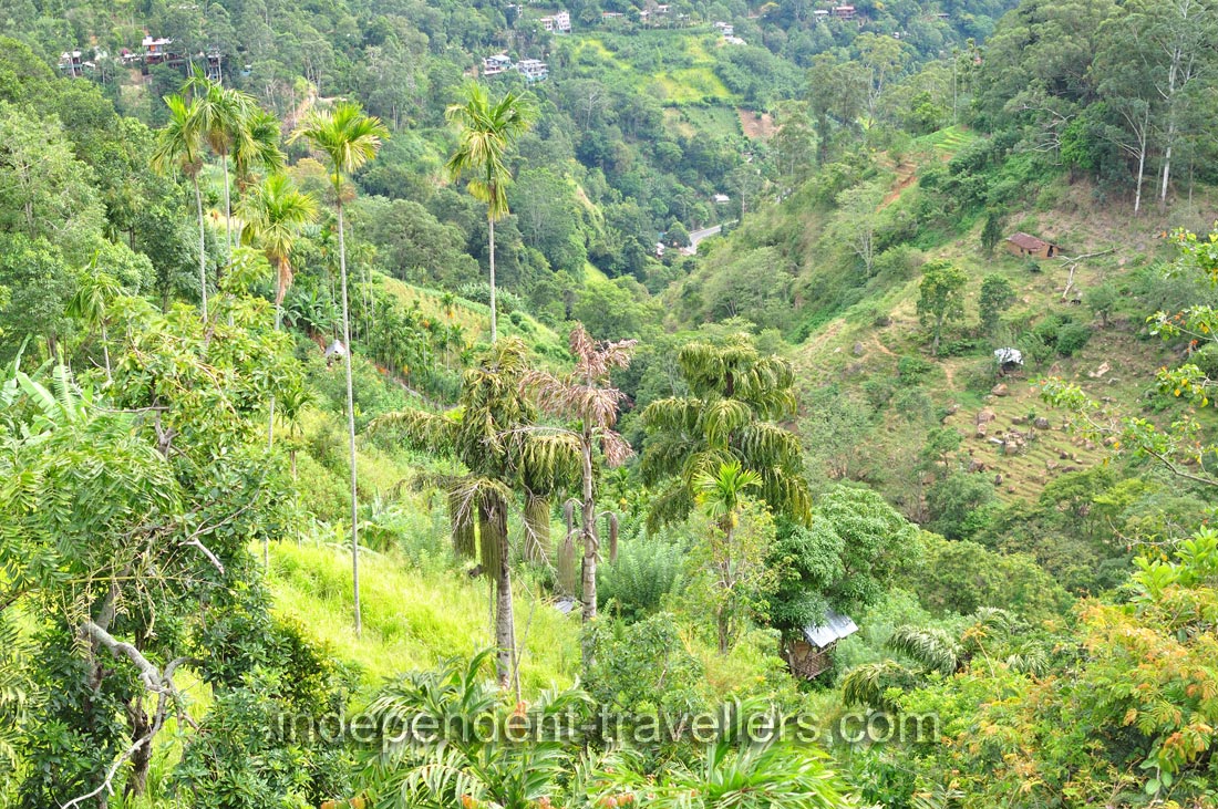 Ella is a great base for tourists who want to explore the surrounding hills