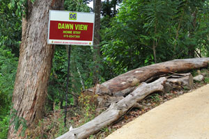 “Dawn View Home Stay” road sign
