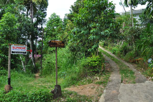 “Supreme Home Stay” and “Panoramic Home Stay” road signs