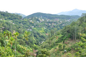 Ella is a beautiful small town in the south of Sri Lanka in the Hill country