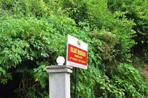 “Blue Ribbon Home Stay” road sign