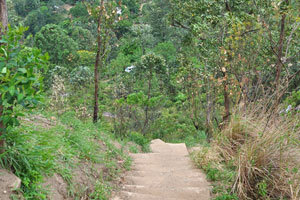 The trail will lead you up to 1141 m above sea-level