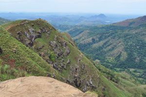 Little Adam's Peak is the closest and easiest hike in Ella