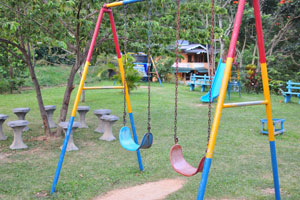 Children swings are in the children park