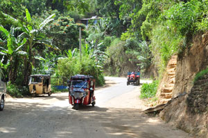 An auto rickshaw rides along Ella-Passara Road